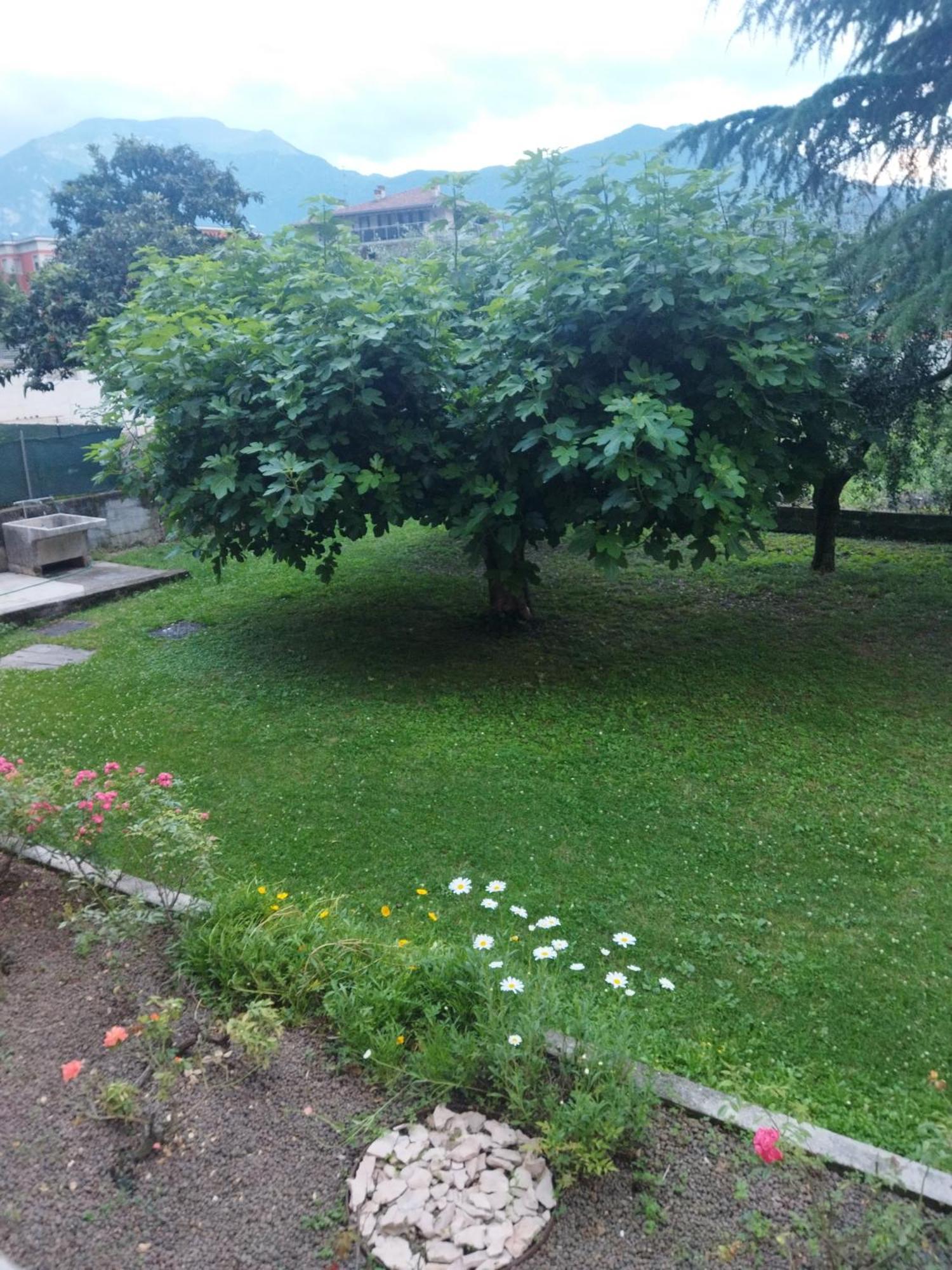 Rose Garden House Wi-Fi Apartamento Riva del Garda Exterior foto